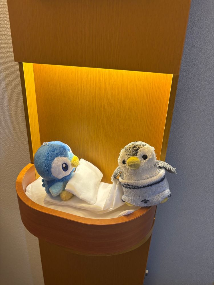 きんちゃん「昨日はここにお泊まりしたよ~！」
3枚目はお布団の準備をするきんちゃんとポッチャマ✨
ガウンは2人とも入らなかったけど、気持ちよさそうに寝ていました💤
東横イン推し活プラン🌟

