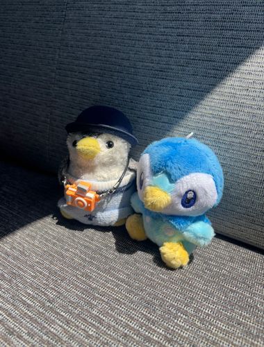 今日は車でドライブしたよ~
ぽかぽかで眠たくなっちゃったよ🥱