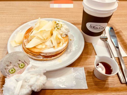 人間「ぬいアシュとお出かけするの久しぶりだね。ほらパンケーキだよ🥞」

ぬいアシュ「ぬいぬぬぬぬぬぬぬいぬぬぬぬ！ぬいぬーぬぬぬぬいぬぬ！（もっと僕も連れ出してください！パンケーキいただきます！）」

人間「人間の財布には限度ってモンがあるんだよ」