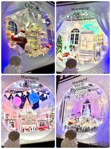 ぬいアシュ「ぬいぬぬぬ！ぬぬいぬぬぬ〜✨（クリスマス！綺麗ですね〜✨）」

人間「ぬいアシュはサンタさん🎅に何をお願いするの？」