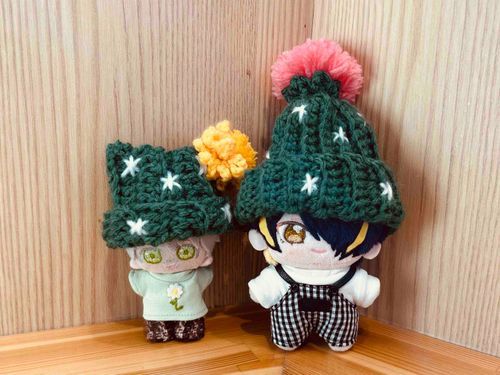 人間「サボテンの帽子だよ🌵暖かそうでいいね」