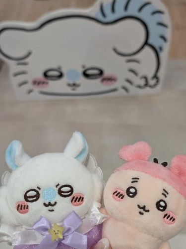 お買い物🛒