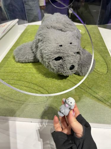 らこ じゃ ない でち …
(    Ｕ  ˘ᴗ˘  Ｕ　) はわー