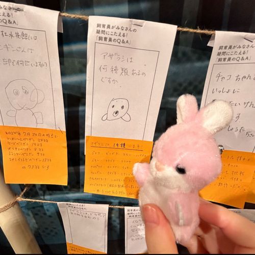 ほら ﾖｯ
あざらし ちゅーのは 19 種類 いるん だって ﾖｯ

(    Ｕ  ˘ᴗ˘  Ｕ　) はわー
(    Ｕ  ˘ᴗ˘  Ｕ　) はわー
(    Ｕ  ˘ᴗ˘  Ｕ　) はわー
(    Ｕ  ˘ᴗ˘  Ｕ　) はわー
(    Ｕ  ˘ᴗ˘  Ｕ　) はわー
(    Ｕ  ˘ᴗ˘  Ｕ　) はわー
(    Ｕ  ˘ᴗ˘  Ｕ　) はわー
(    Ｕ  ˘ᴗ˘  Ｕ　) はわー
(    Ｕ  ˘ᴗ˘  Ｕ　) はわー
(    Ｕ  ˘ᴗ˘  Ｕ　) はわー
(    Ｕ  ˘ᴗ˘  Ｕ　) はわー
(    Ｕ  ˘ᴗ˘  Ｕ　) はわー
(    Ｕ  ˘ᴗ˘  Ｕ　) はわー
(    Ｕ  ˘ᴗ˘  Ｕ　) はわー
(    Ｕ  ˘ᴗ˘  Ｕ　) はわー
(    Ｕ  ˘ᴗ˘  Ｕ　) はわー
(    Ｕ  ˘ᴗ˘  Ｕ　) はわー
(    Ｕ  ˘ᴗ˘  Ｕ　) はわー
(    Ｕ  ˘ᴗ˘  Ｕ　) はわー
