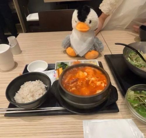 きた、ぽ