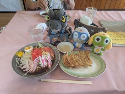 お昼ごはんは、冷やし中華と餃子😋