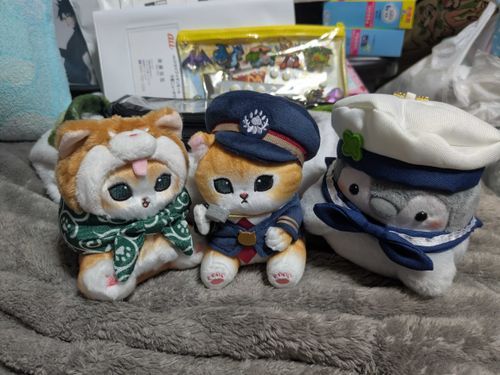我が家の小さなもふもふな可愛い仔達💕🥰💕