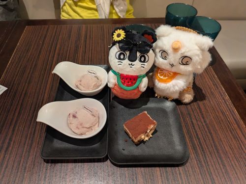 食後のデザートは、ちょっとリッチなアイスクリームが出て来たよ🍨後ティラミス以外と食べ応え有り気味だったな〜。