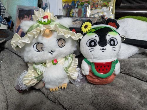 ジャジャ~ン！✨️私とヴァルの2人でオシャレしてみたよ😄私は夏のコーデなんだけど、何故ヴァルだけフルフリ衣装コーデ何だろうね？(´・ω・｀)ま〜、似合うけど？😂