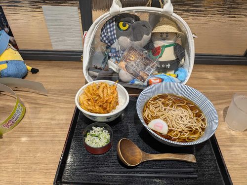 夜飯は、温かいそばとかき揚げ丼ミニセットを頂いたぜ✨️🙏✨️