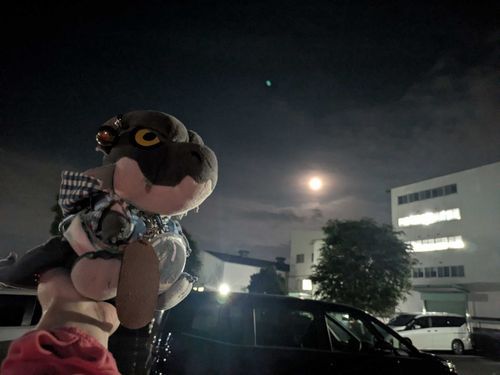 空にモヤがかかり気味だが、月は綺麗に見れたぜ🎑
満月までは数日早いらしい🤔