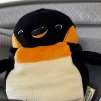 うぎん