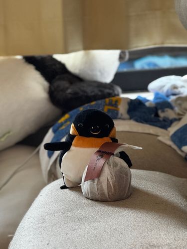 どこかのまんじゅう