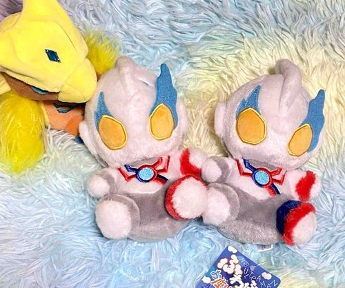 こうして並んでみると新入り弟分は下ぶくれで赤ちゃんみたいな顔しとるの！