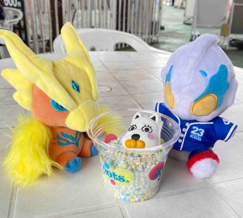 今日は遊園地！おやつはつぶうぶアイス🍨