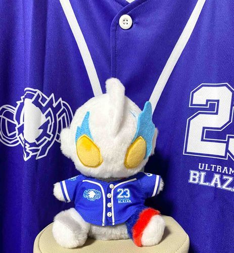 この服、家主とお揃いだよ！