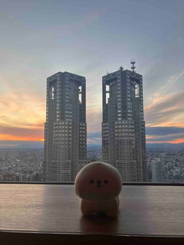 みんな、今年もよろしくねー。

都庁の前で写真撮ってもらったら、ラスボスっぽいねって言われちゃった…⚪️