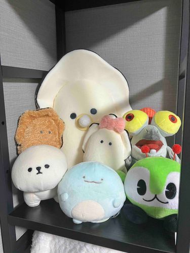 テントからお引越ししたから、みんなで集合写真を撮ったよぉ🎶きょむが真ん中でちょっと照れちゃうけど、いい写真でしょ〜🦕