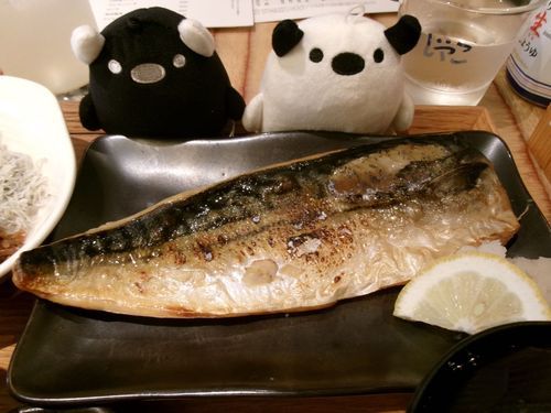 ボー「これが……サバのひもの！！！（じゅるり）」  