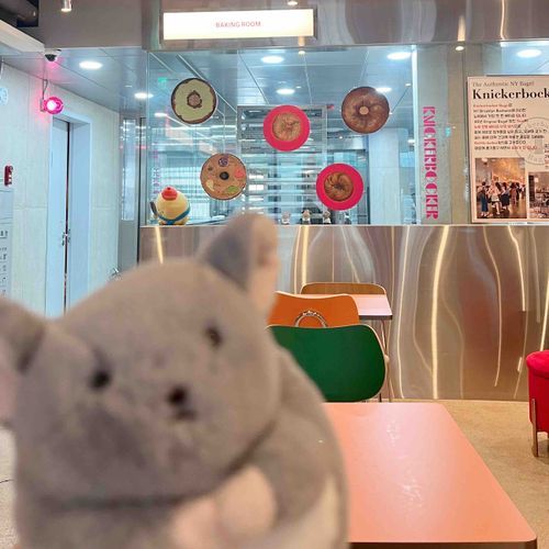 かんこくの おしゃれな べーぐるやさん!!🥯