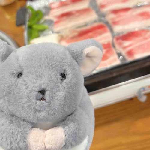 さむぎょぷさる🤩