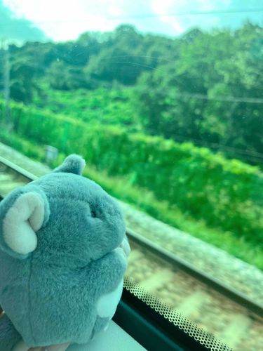でんしゃ がたんごとん