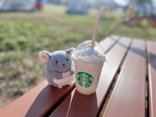 いいおてんき〜🎶️☀️.°