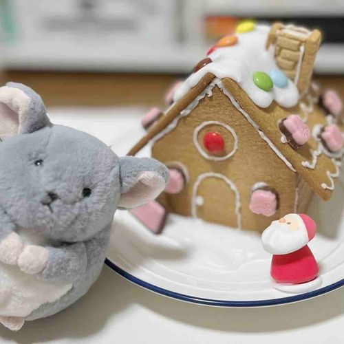 くりすますぱーてぃー たのしかった！🎄.* おかしのいえを つくったよ！🍪