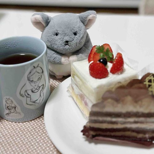かいぬしの そつろん が おわった ごほうび🎶 いっしょに けーき たべたよ🍰🫖
