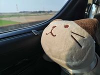 ねこちゃん