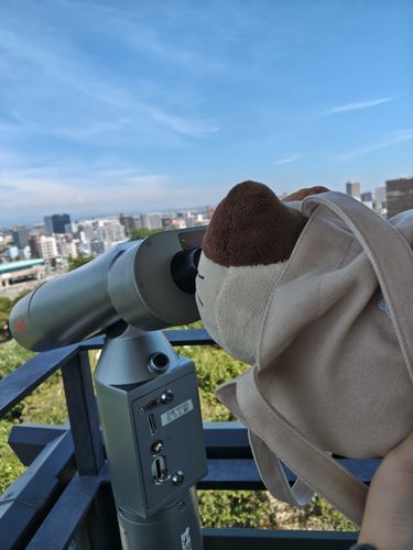 みえる？