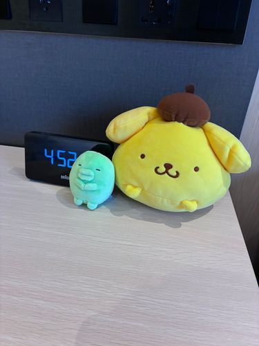 ﾖｼﾞ ｺﾞｼﾞｭｳﾆﾌﾝ