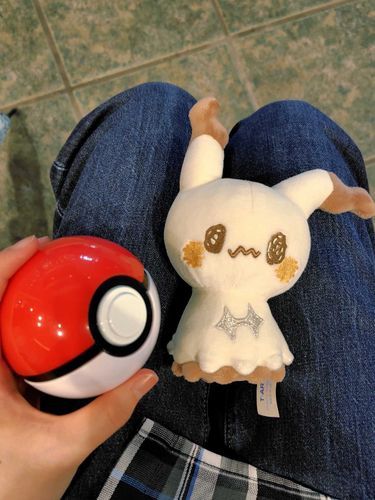 ポケピースの子をゲットした日の写真が出てきたよ　おめめが光っててちょーぜつキュートだね✨️　うちに来てくれてありがとう