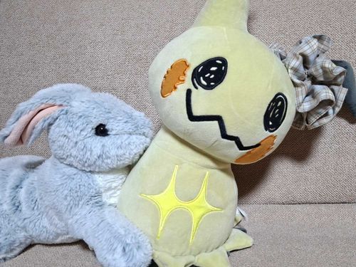 ……… ………… ……💦