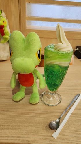 初めて選んだポケモンと一緒に