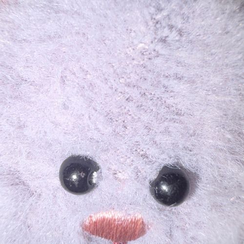 ごまきち🦛