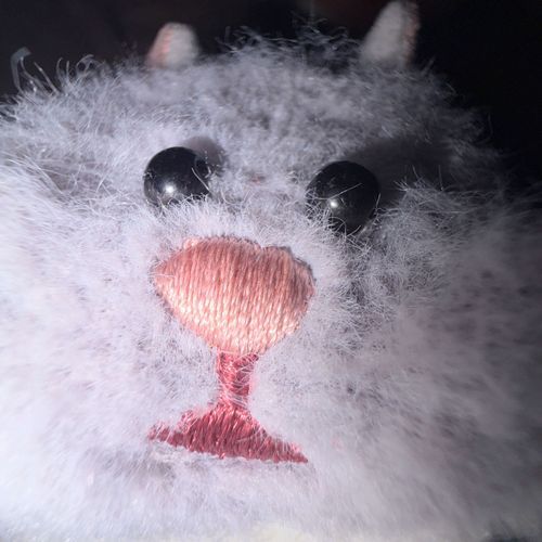 こんばんは