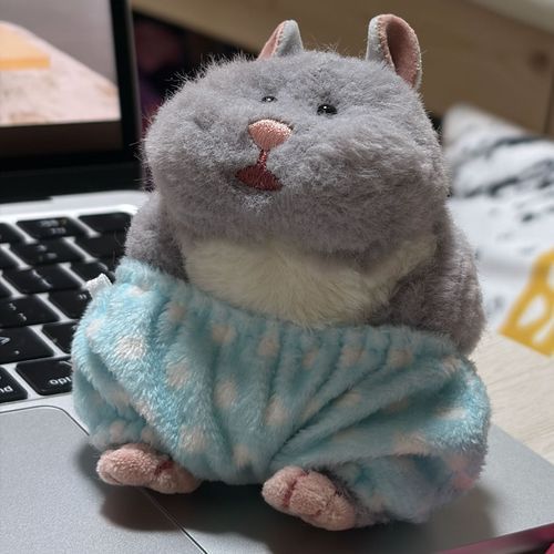 やんき やからね