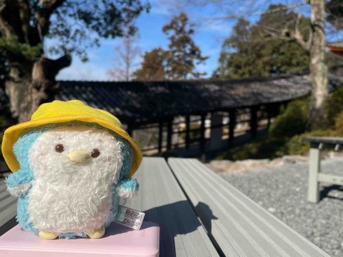 ながなが廊下でした、！