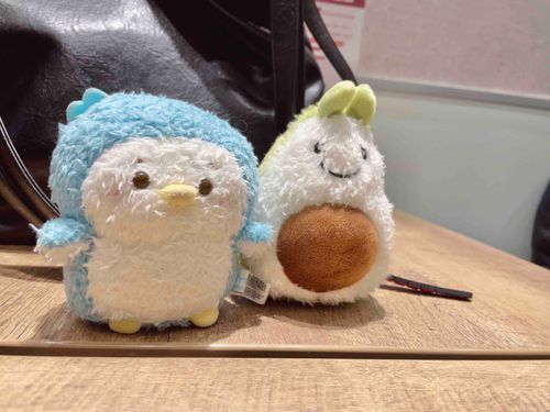 あぼかどの妖精さんとおともだちになりました🧚