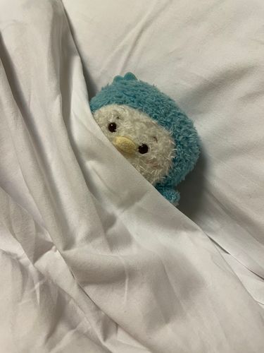 すぴり