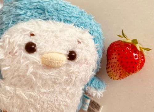 なついちご、ですねぃ🍓