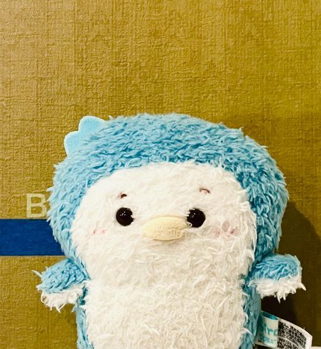 𝒃𝒂𝒄𝒌 𝒓𝒐𝒐𝒎𝒔…