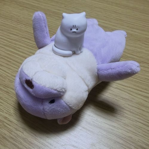 中井SAで主に発見されたよ
のんびり気ままに過ごす事をモットーにしてるよ
