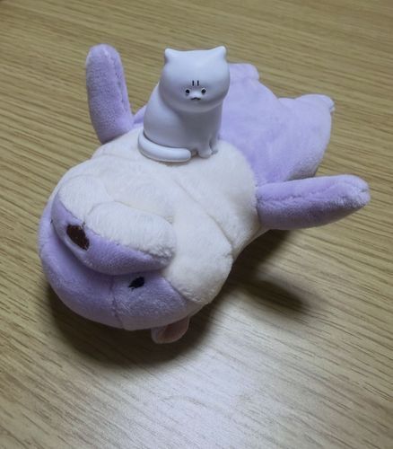 中井SAで見つけて多分二度と会えないと思ったからお迎えしたカワウソぬい🦦

中井さんと名付けて日々過ごしてます。
