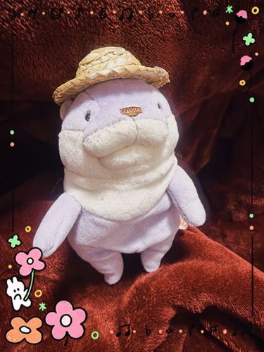 年々早く暑くなるもんね
麦わら帽子を中井さんにプレゼント👒

主は中々お外出ないけど、出掛ける時は帽子かぶってこうね