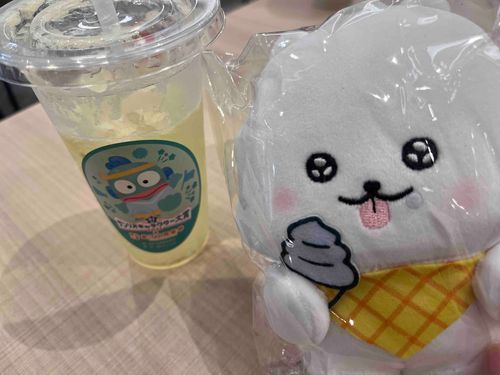 レモンソーダ🍋✨
撮る前に少し飲んじゃいました