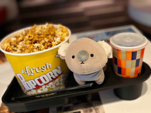 晩御飯のあとなのにマジでこれ1人で食べるのかと思って見てたけど、普通に完食してた。
どうやら僕の持ち主の胃袋はなかなかに立派みたいだ。