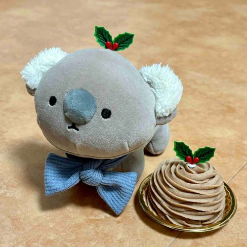 持ち主はクリスマスが1番忙しい仕事なので、ヒィヒィ言っていますがなんだかんだ楽しそうなので心配はしていません。
今日はご褒美と称してモンブランを食べていました🌰