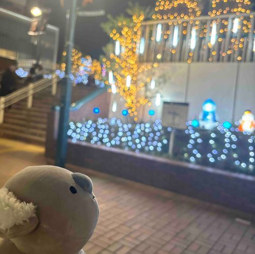 僕はまだイルミネーションの無い街を見たことがない。持ち主と一緒にお店を出たのは11月の末のことで、その時にはもうクリスマスツリーが出てたから。